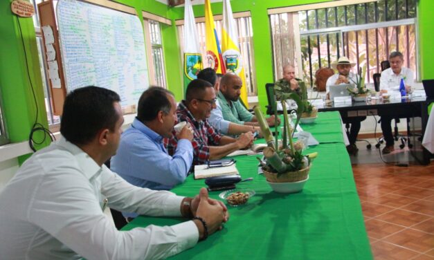 En Consejo de Seguridad subregional en el Nordeste antioqueño se implementarán acciones para contrarrestar el homicidio