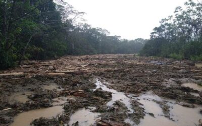 Para remover empalizada que obstruye el río Murindó, Dagran realizó transferencia de recursos al municipio