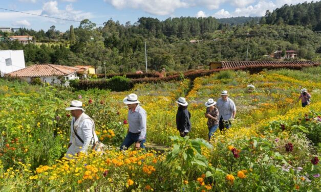Medellín recibe reconocimiento de la Red Mundial de Turismo Creativo por su estrategia de desarrollo de turismo comunitario