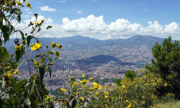 Medellín recibe reconocimiento internacional por las acciones implementadas para enfrentar el cambio climático