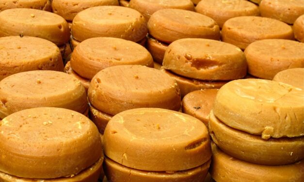 Planta agroindustrial de panela de Campamento: en estudios y diseños