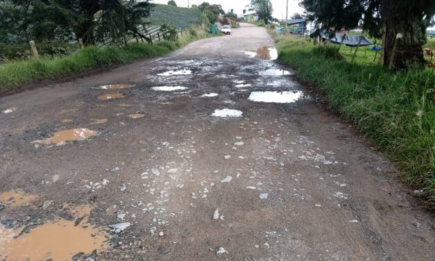 La vereda la Camelia del municipio de Carolina tendrá placa huella pavimentada