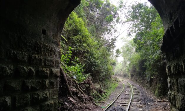 Adjudicada la interventoría de proyectos de recuperación de corredores férreos del país
