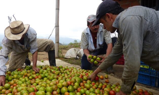 Antioquia cuenta con 786 inscritos en los Mercados de Compras Públicas de Alimentos