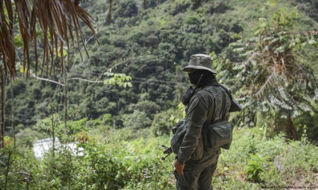 Toda una vida sin vivir