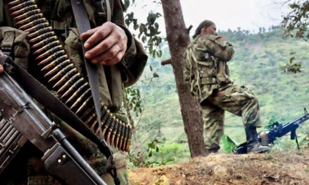 La educación es mi escudo protector