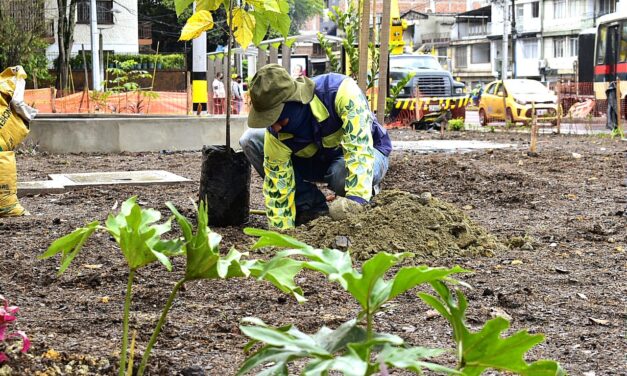 Con la siembra de más de 146 árboles avanza la compensación ambiental en el intercambio de Colombia con la 80
