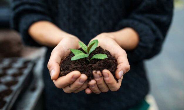 Este domingo se conmemora el Día Mundial del Medio Ambiente en Antioquia