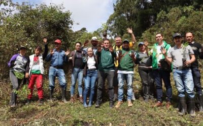 Marinilla superó la meta de sembrar 100 mil árboles