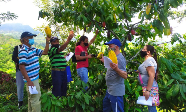 Los productores de caña y cacao del Suroeste se capacitaron para mejorar sus cultivos