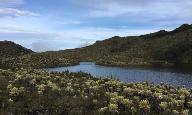 Está cerrado temporalmente el Páramo del Sol