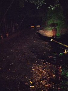 En estado crítico está un puente en Támesis