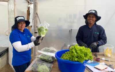 Mercados Campesinos inició Programa de Compras Públicas para aumentar en un 10% sus ventas en 2023 en la ciudad
