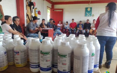 En Amalfi 70 productores cafeteros serán beneficiados con insumos para la protección de sus cultivos