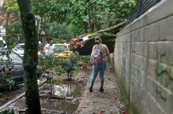 Bomberos Medellín atienden emergencias por lluvias en diferentes puntos de la ciudad
