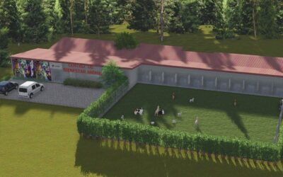 Centro de Bienestar Animal de La Ceja fue reconocido como uno de los mejores del departamento