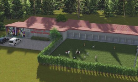 Centro de Bienestar Animal de La Ceja fue reconocido como uno de los mejores del departamento