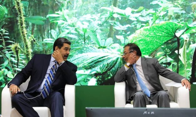 Colombia y Venezuela plantean alianza por la Amazonia