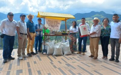 80 campesinos de Betania recuperarán cultivos de plátano asociados con café