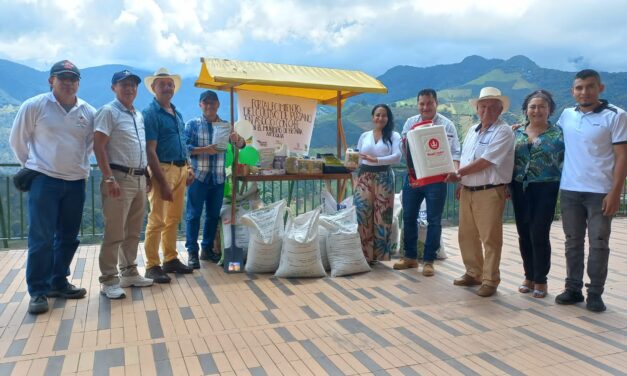80 campesinos de Betania recuperarán cultivos de plátano asociados con café