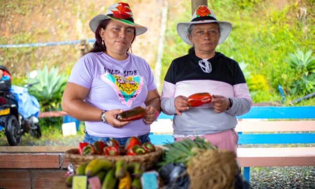 A partir de hoy se recibirán las propuestas para el Premio Experiencias Relevantes de Participación Ciudadana 2023