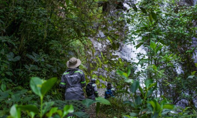 Con una nueva reserva natural en San Antonio de Prado, Medellín aumenta sus áreas protegidas y avanza en su consolidación como Ecociudad