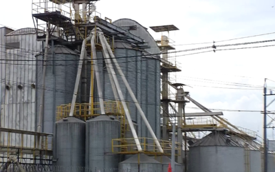 Un trabajador murió al caer en un silo de soya