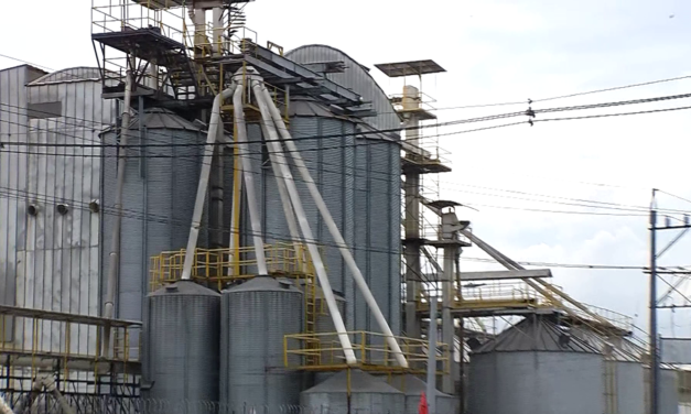 Un trabajador murió al caer en un silo de soya