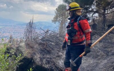 El Dagrd, con Bomberos Medellín, controló incendio  de cobertura vegetal en el Cerro El Picacho