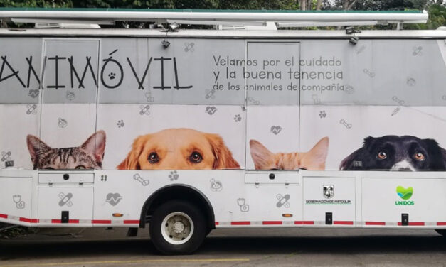 El Animóvil llegó al 86% de la meta propuesta para el cuatrenio en esterilizaciones gratuitas de perros y gatos en Antioquia