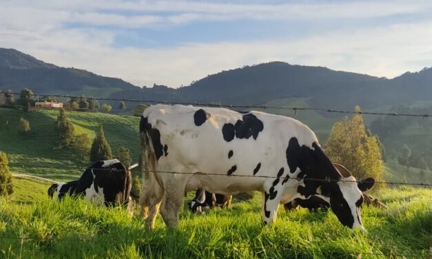 Progresos y retos del sector lácteo en Antioquia