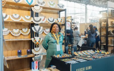 Medellín Crítico 9 Por su aporte al desarrollo local y los resultados históricos, Plaza Mayor será reconocida por el Congreso de la República