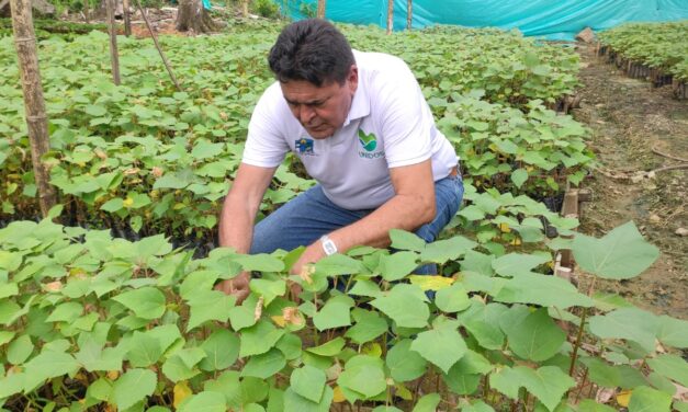 La Red Vida Viveros se formará en genética vegetal y productividad forestal