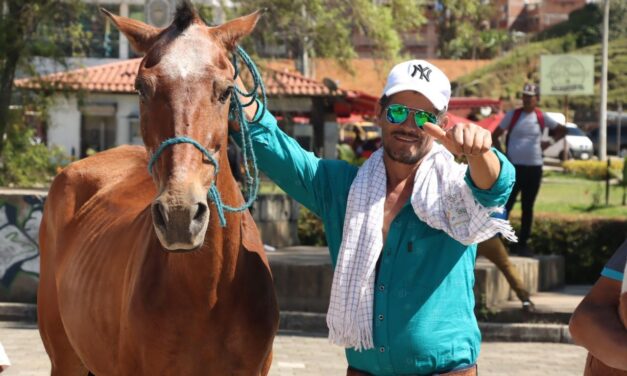 17 caballos se jubilaron en Marinilla