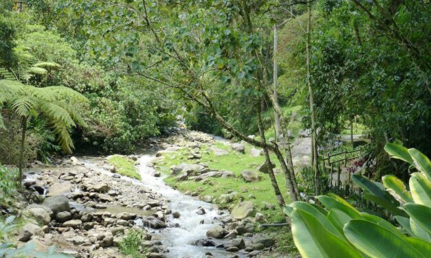 Siete estudiantes fueron víctimas de secuestro y hurto en Envigado