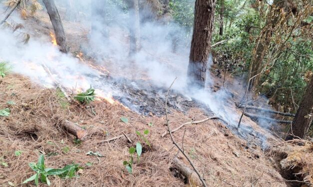 Concejal Jaime Cuartas Insta a la Acción para Prevenir Incendios Forestales en Medellín