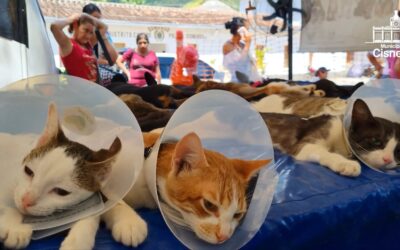 Campaña Exitosa de Esterilización: Más de 1500 Mascotas Beneficiadas en Cisneros
