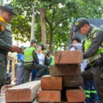 Operativo contra tráfico ilegal de madera en medellín: incautados más de 60 metros cúbicos y especies en peligro
