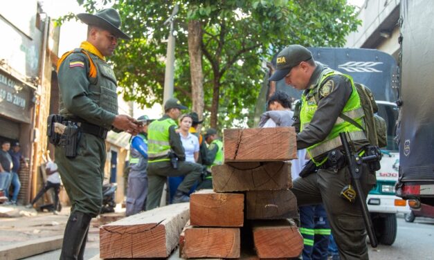 Operativo contra tráfico ilegal de madera en medellín: incautados más de 60 metros cúbicos y especies en peligro