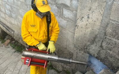 Aumento alarmante de casos de dengue en Medellín