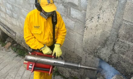 Aumento alarmante de casos de dengue en Medellín