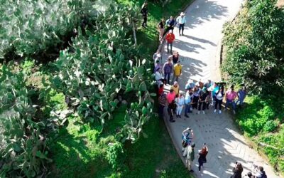 30.000 habitantes de Antioquia se benefician con nuevas vías por $7.839 millones