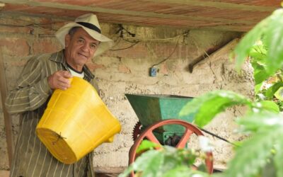 La Alcaldía de Medellín destinará más de $23.000 millones al Programa Agropecuario Distrital