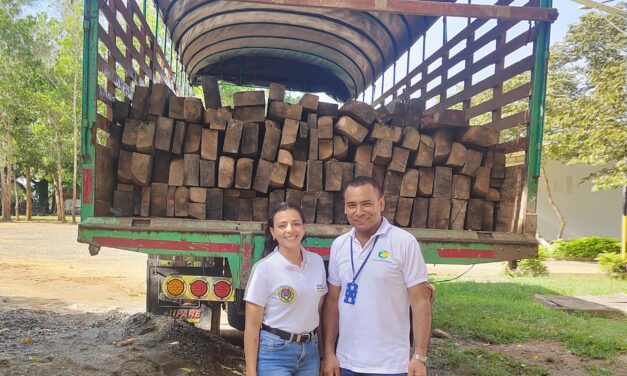 Corantioquia dona madera decomisada para beneficio comunitario en Antioquia