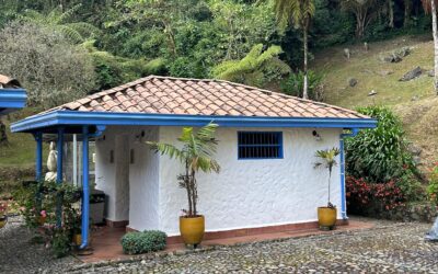 Corantioquia impulsa la protección de flora nativa durante la Feria de las Flores