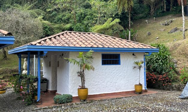 Corantioquia impulsa la protección de flora nativa durante la Feria de las Flores