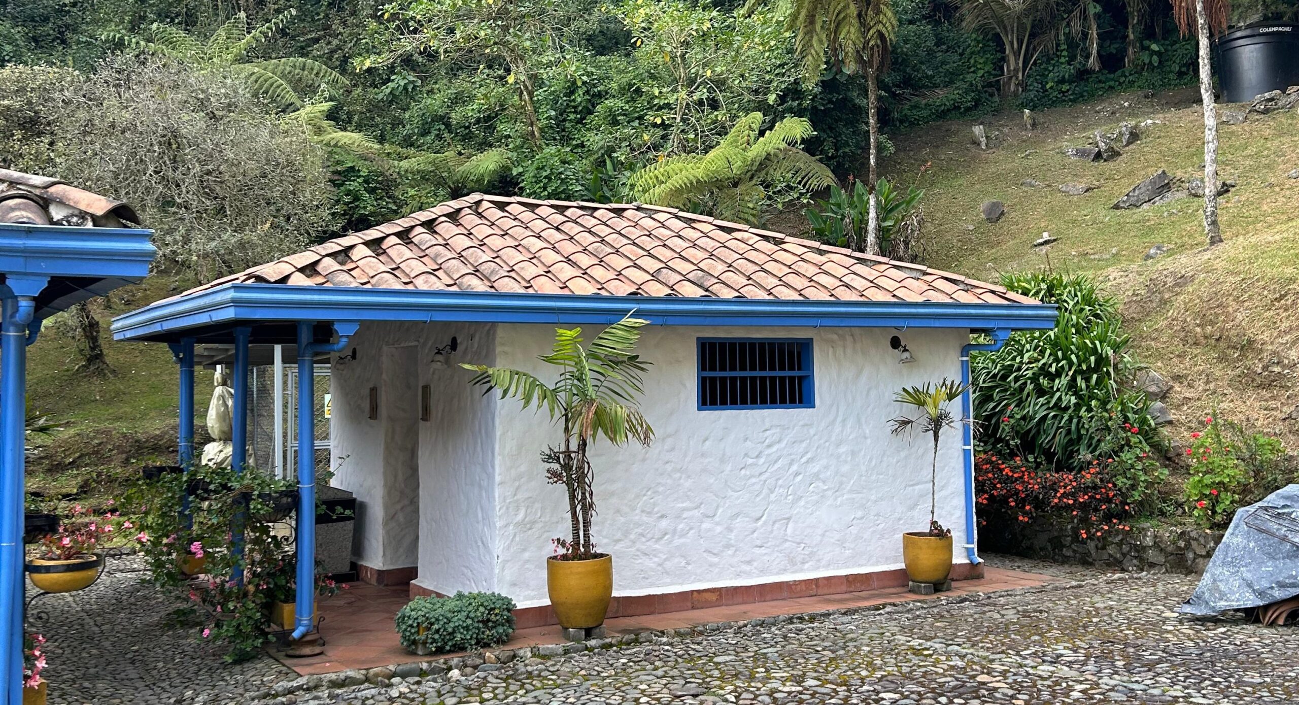 Corantioquia impulsa la protección de flora nativa durante la Feria de las Flores protección de flora nativa