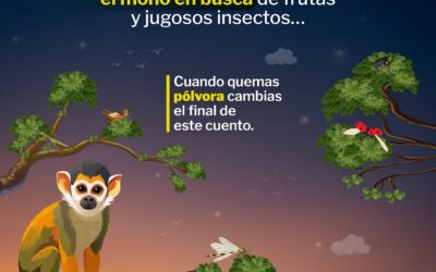 Corantioquia defiende la vida silvestre: No Más Pólvora en Navidad