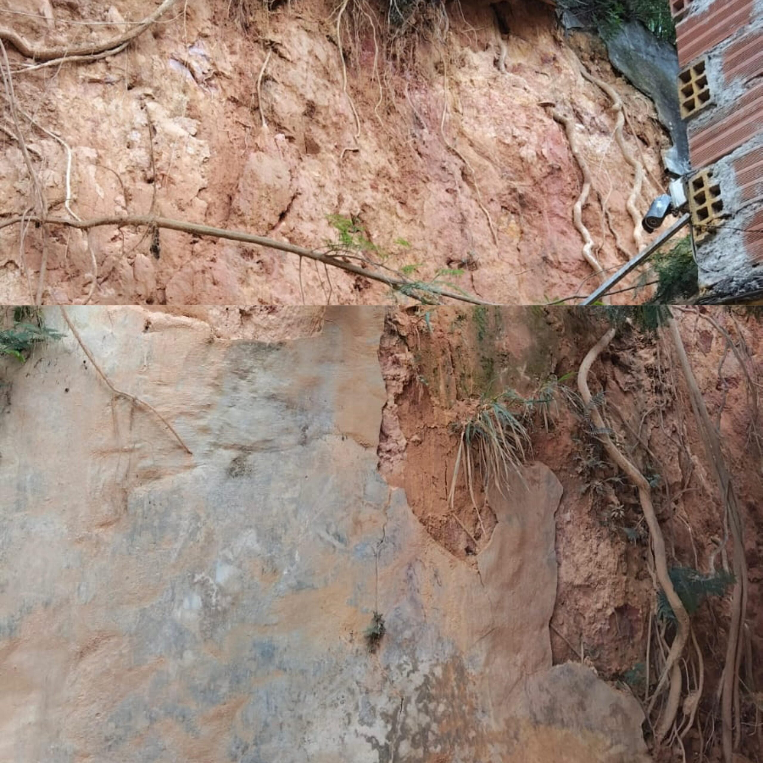 Tragedia en la América