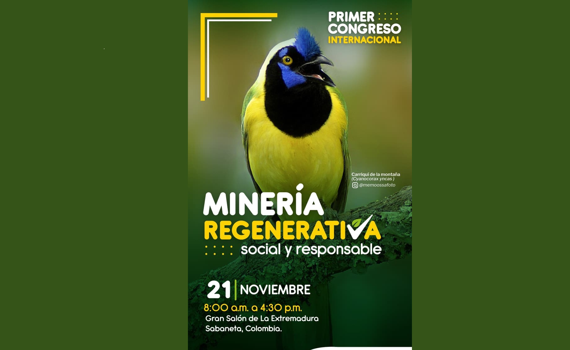 Minería regenerativa